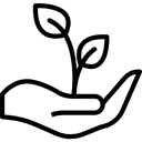 Növény